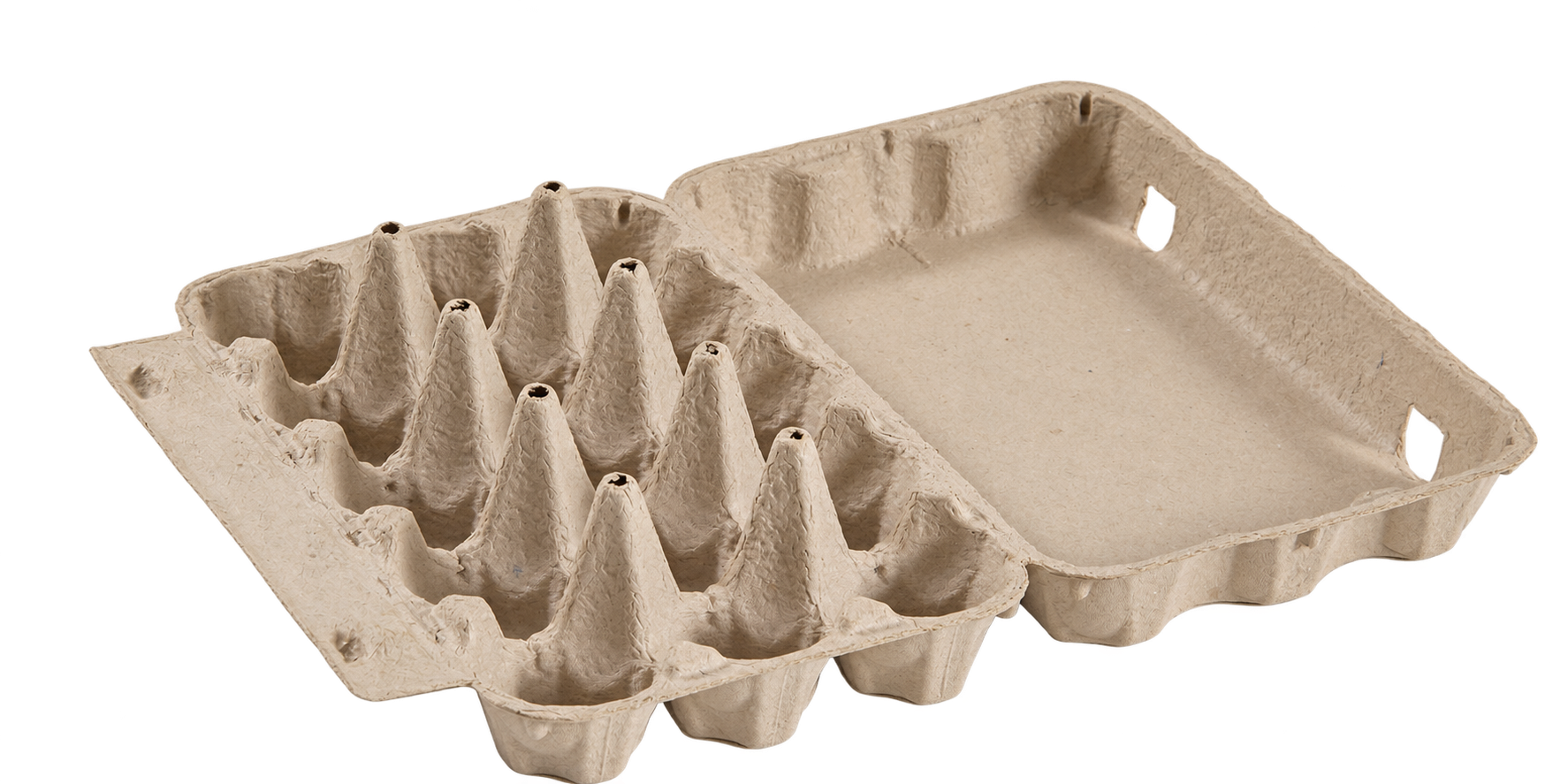 Open 15-egg molded fiber carton