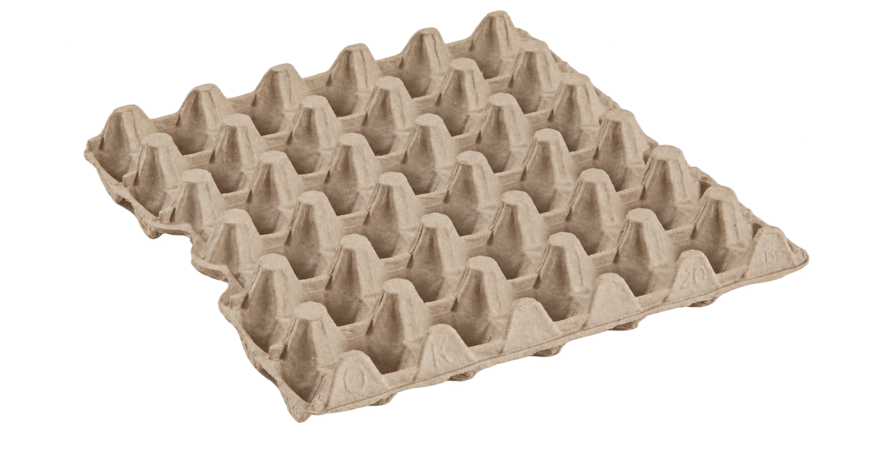 30-egg molded fiber tray